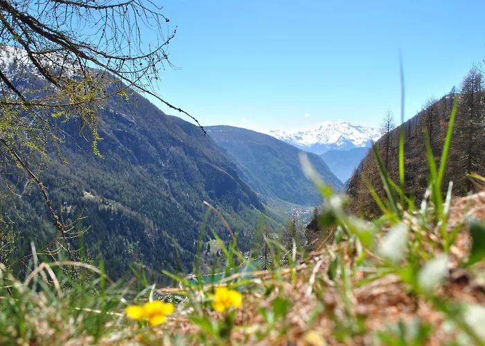 Hotell Millefiori- Alpine Event Lodge